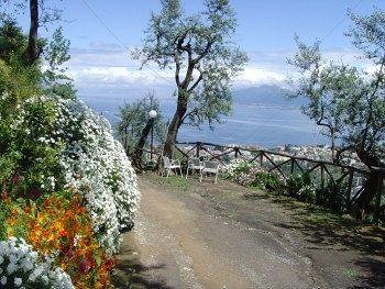 Affittacamere Casarufolo Paradise 2*
